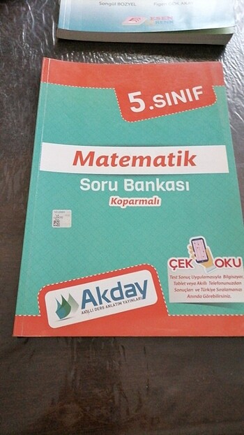 5 sınıf