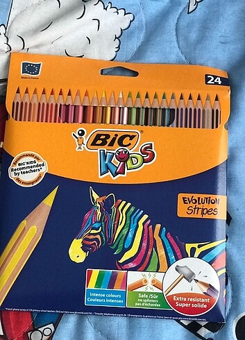 BIC kuru boya 