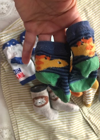 Renkli Nakışlı Erkek Çorapları - Görsel 9