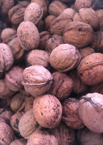 Doğal Ceviz - Görsel 6