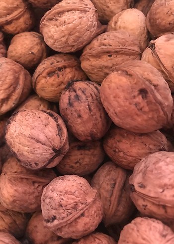 Doğal Ceviz - Görsel 2