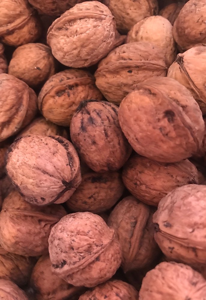 Doğal Ceviz - Görsel 2