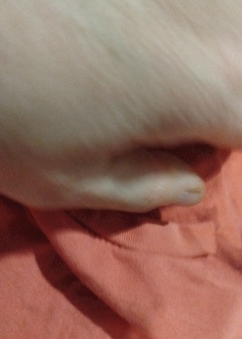 Kızlar için KiremitRahat Keten Eşofman Takımı - Görsel 7