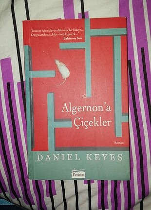 Algernon'a Çiçekler 