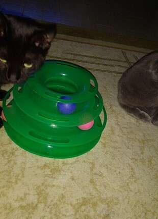 Kedi oyuncağı