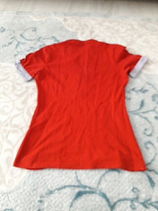 Lacoste T_shirt 