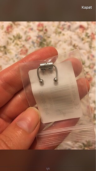 Manyetik septum