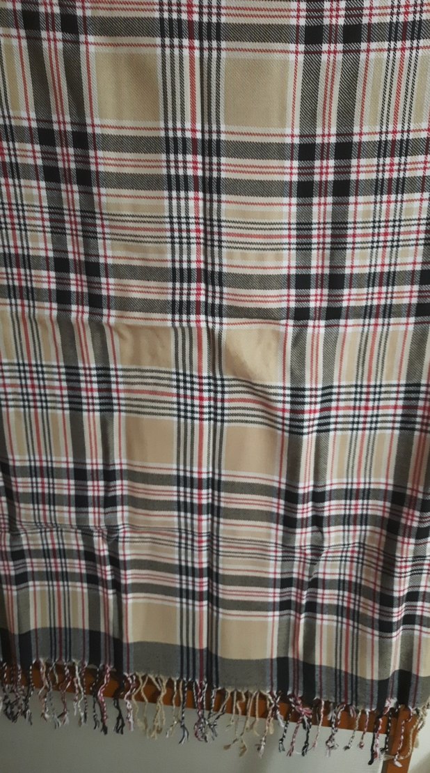 burberry model şal - Görsel 2