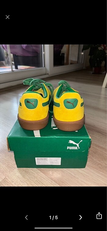 Puma puma palermo