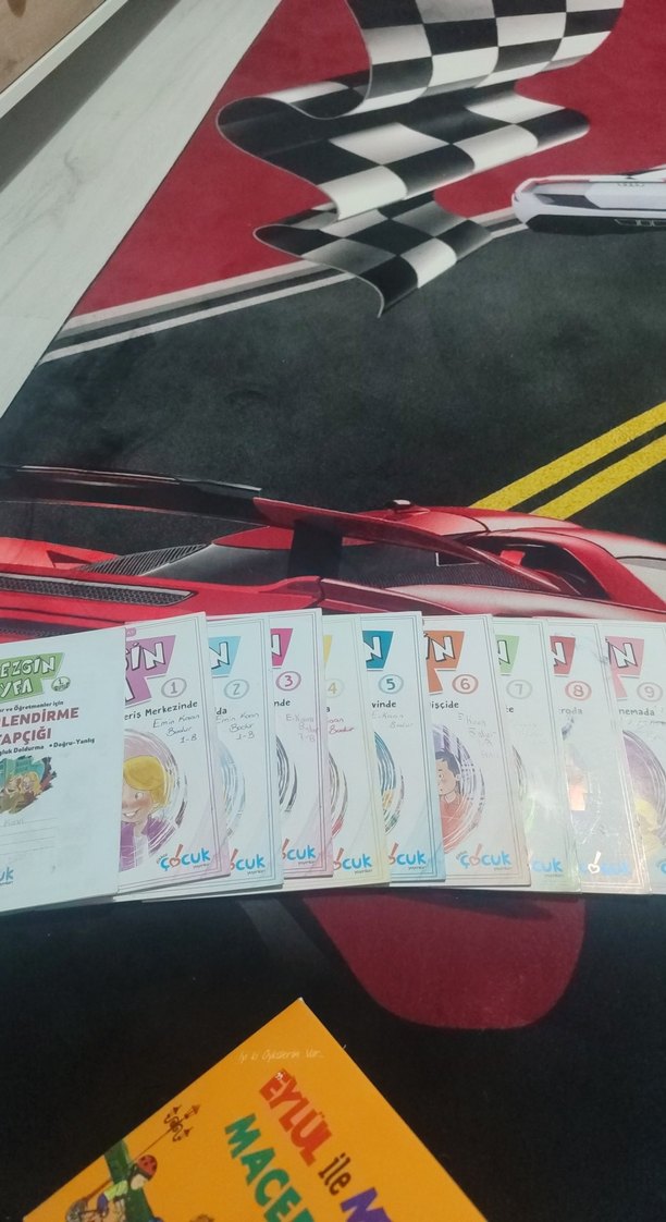 Gezgin Tayfa 10 Kitap Seti - Hale Estork Altas - Görsel 3