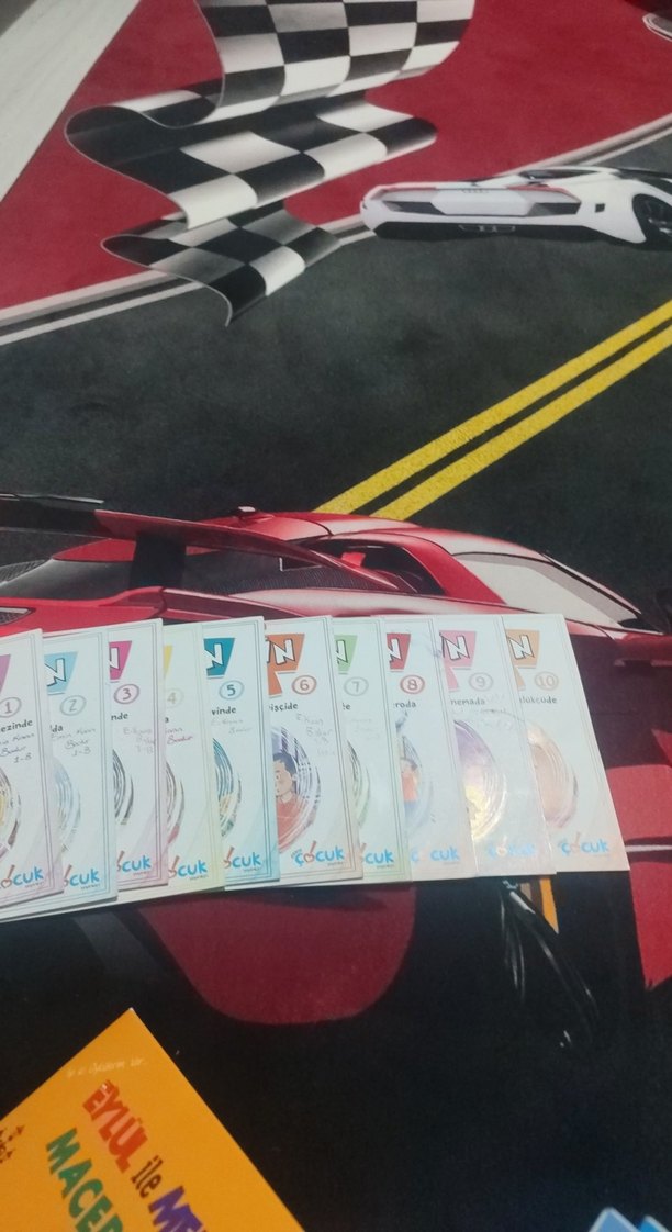 Gezgin Tayfa 10 Kitap Seti - Hale Estork Altas - Görsel 4