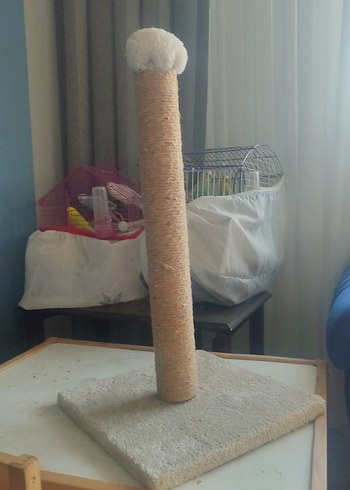 Bej ve gri kedi tırmalama direği - Görsel 3