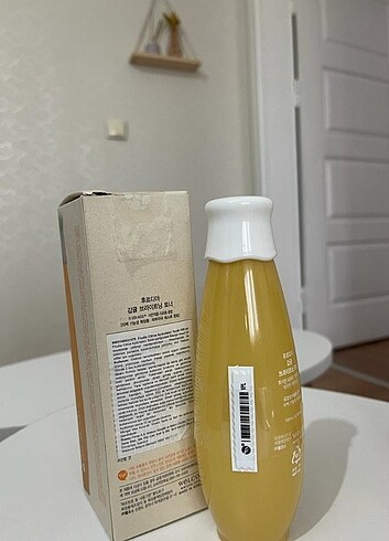 Beden Renk Frudıa