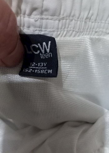 LC Waikiki Erkek Çok Renkli Baskılı Mini Şort
