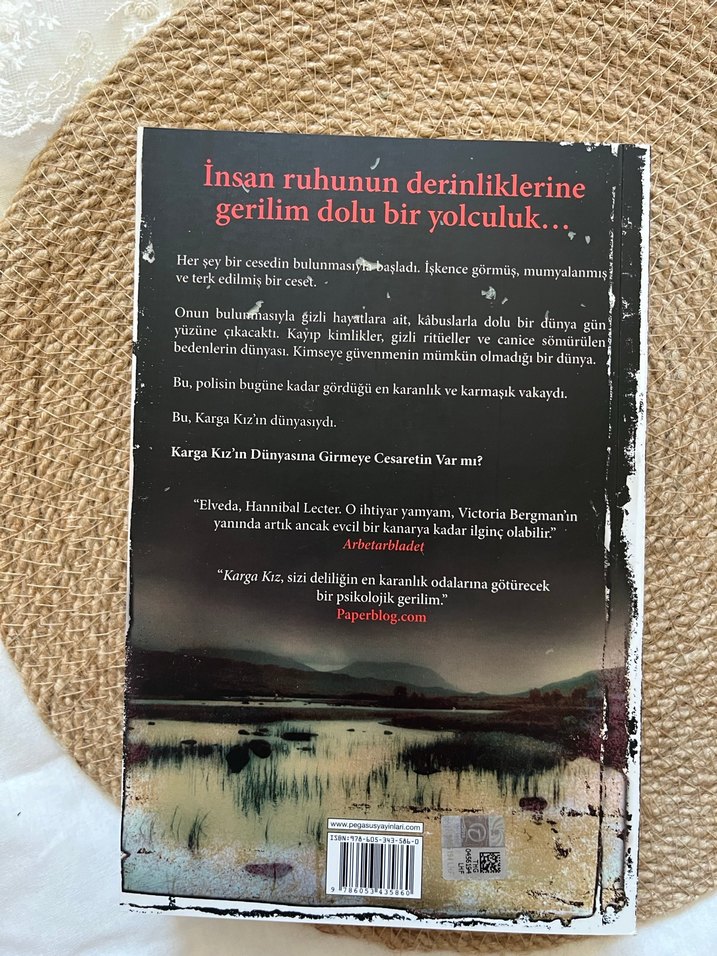 Karga Kız - Erik Axl Sund - Görsel 2