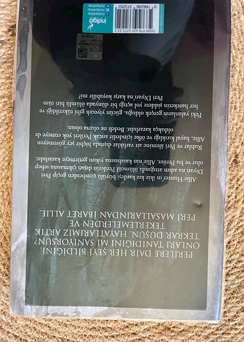  Peri Avcısı - Sarah K.L. Wilson