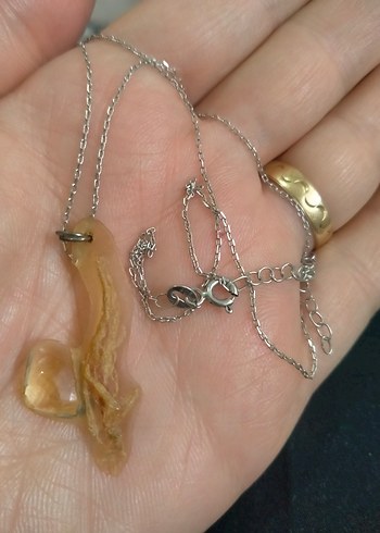 Gümüş Kehribar Kolye - Görsel 2