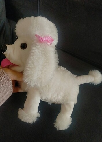 Diğer Peluş fino köpek