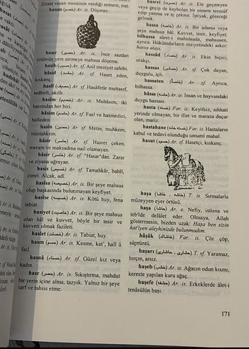 Resimli Türkçe Kamus Kitabı Raif Necdet Kestelli - Görsel 3