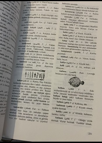 Resimli Türkçe Kamus Kitabı Raif Necdet Kestelli - Görsel 4