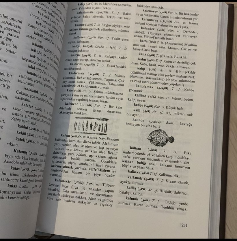 Resimli Türkçe Kamus Kitabı Raif Necdet Kestelli - Görsel 4