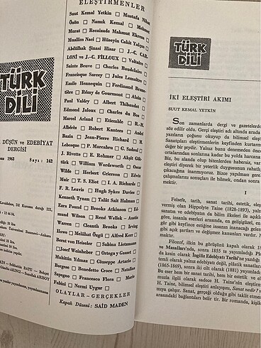 Türk Dili Eleştiri Özel Sayısı I-II
