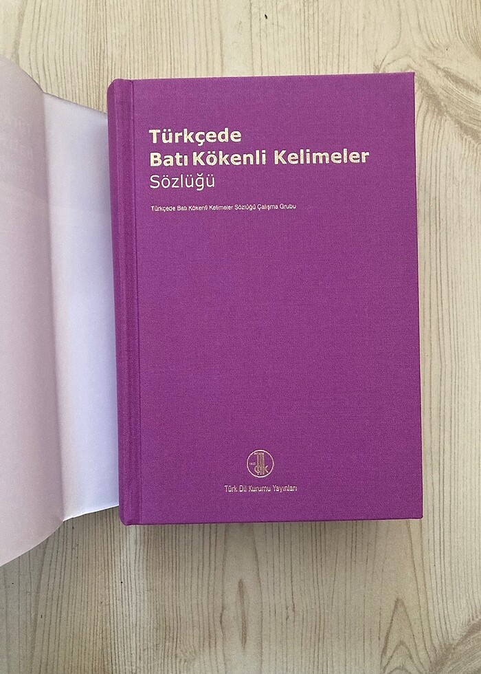 Türkçede Batı Kökenli Kelimeler - Görsel 2