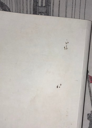 Sevdai Leyla ile Mecnun - Görsel 2