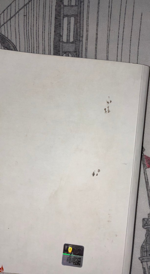 Sevdai Leyla ile Mecnun - Görsel 2