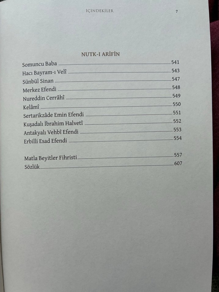 İrfan Şiirleri Antolojisi - Görsel 4