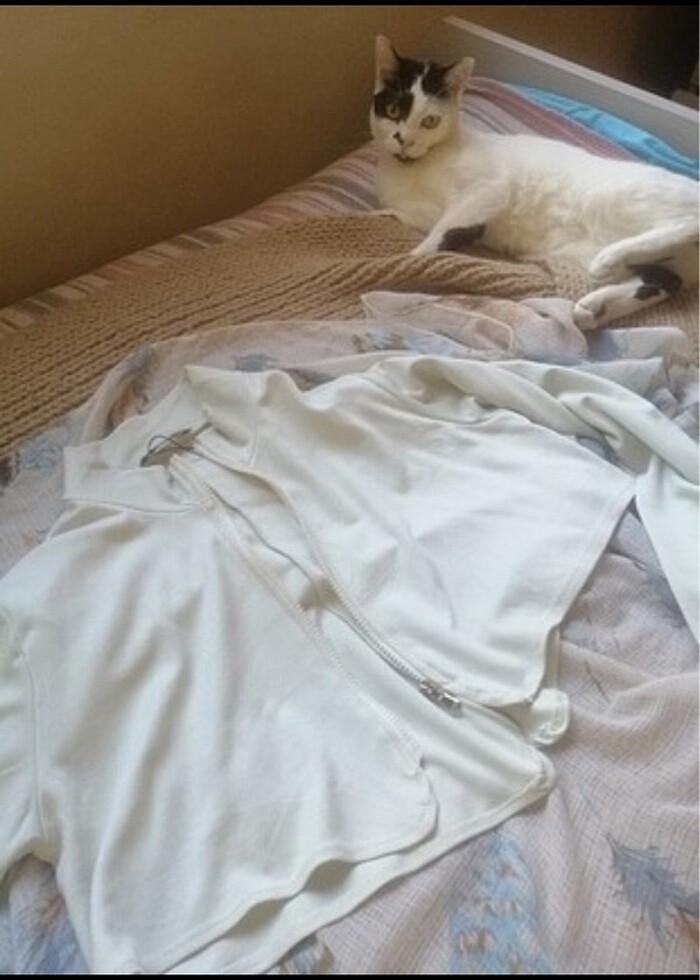 Milla crop bluz - Görsel 3