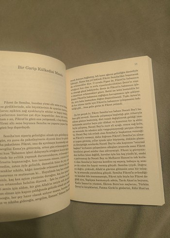 Deli Tarla - Şermin Yaşar - Görsel 4