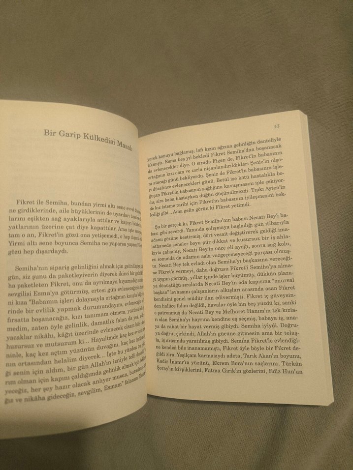 Deli Tarla - Şermin Yaşar - Görsel 4