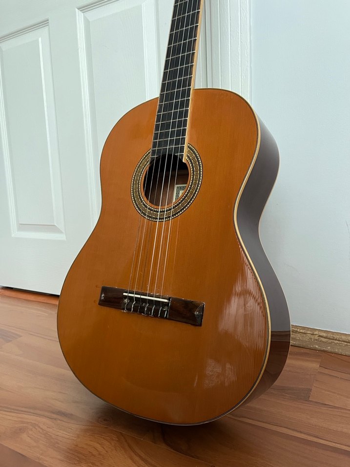 BARCELONA GİTAR - Görsel 2