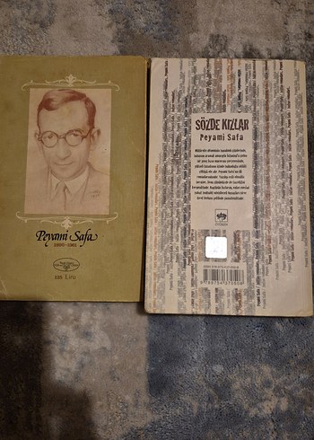 Peyami Safa Romanları: Dokuzuncu Hariciye Koğuşu ve Sözde Kızlar - Görsel 2