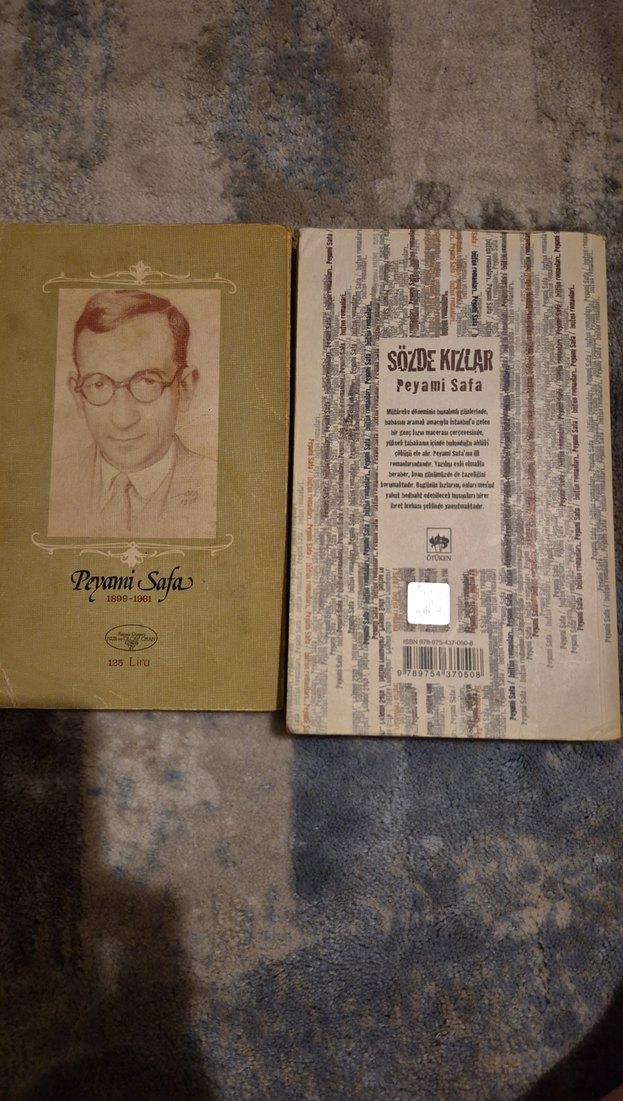 Peyami Safa Romanları: Dokuzuncu Hariciye Koğuşu ve Sözde Kızlar - Görsel 2