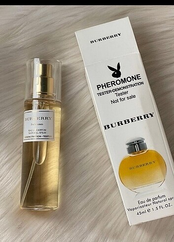 Burberry classic