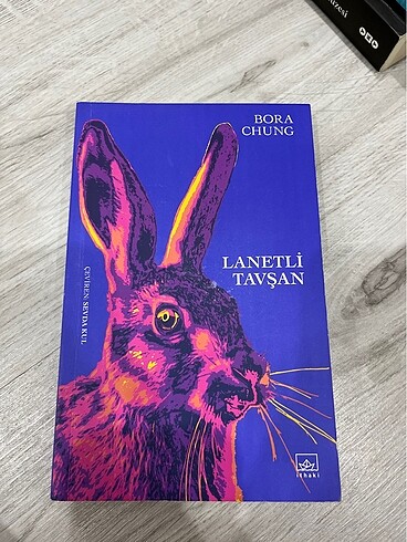 Lanetli tavşan Bora chung REZERVE
