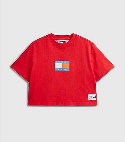 Tommy hilfiger tshirt