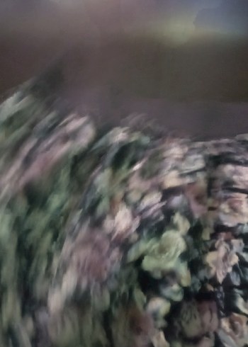 Mor Çiçekli Volanlı Midi Hamile Eteği - Görsel 2