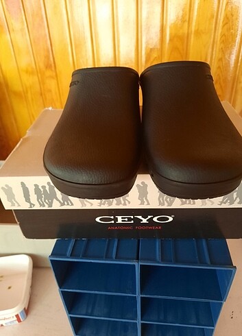 Ceyo anatomik terlik - Görsel 5