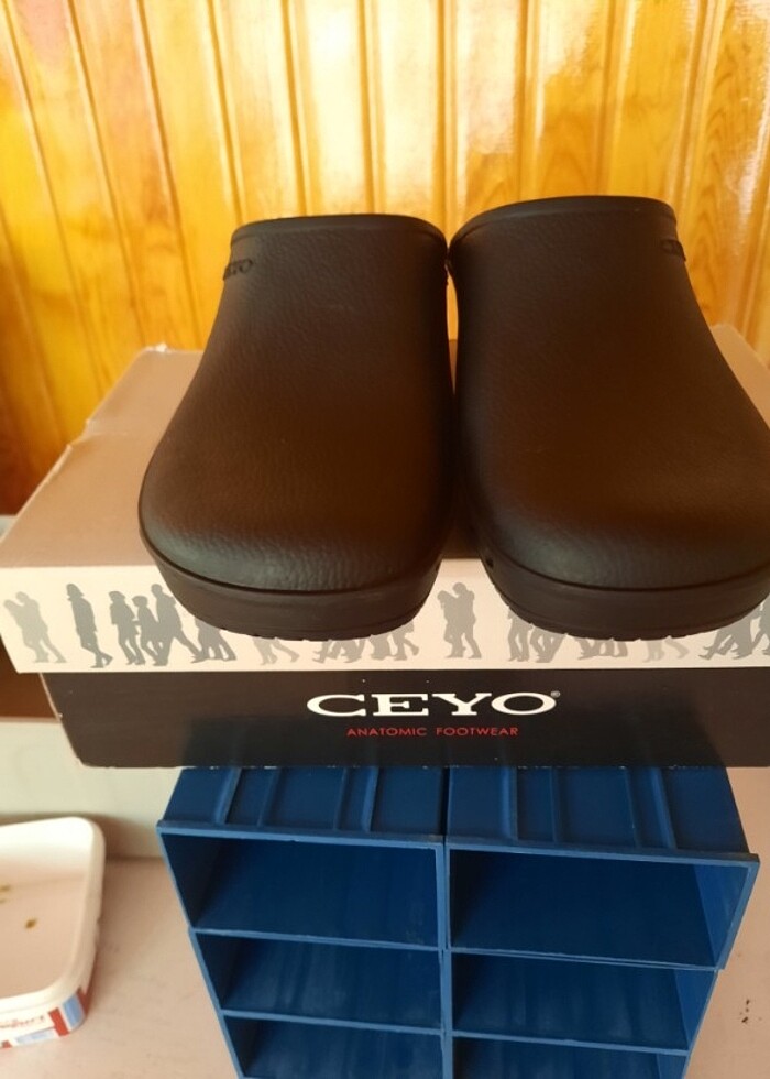 Ceyo anatomik terlik - Görsel 5