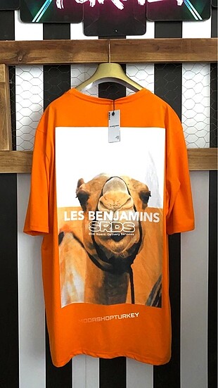 Les Benjamins