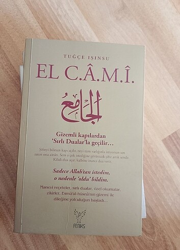 Tuğçe ışınsu al cami