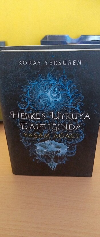 Herkes uykuya daldığın da
