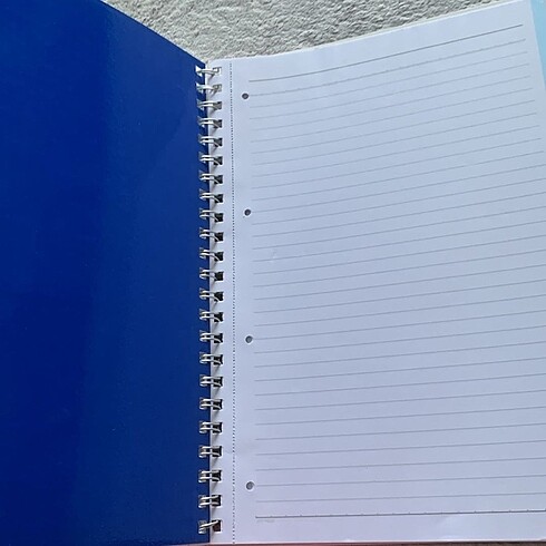 Beden Renk Winx defter