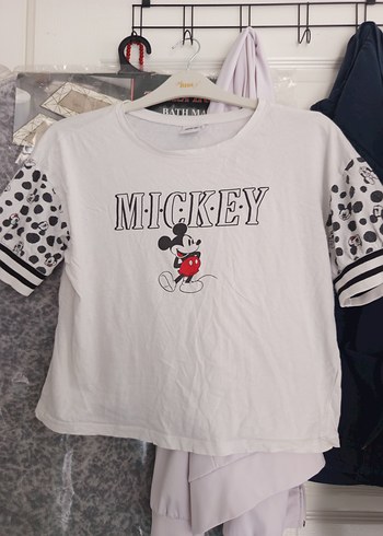 Walt Disney World Standart Beden