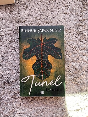 binnur safak nigiz