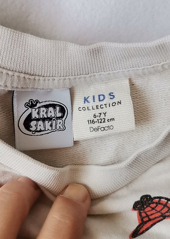 Erkek çocuk sveat - Görsel 4
