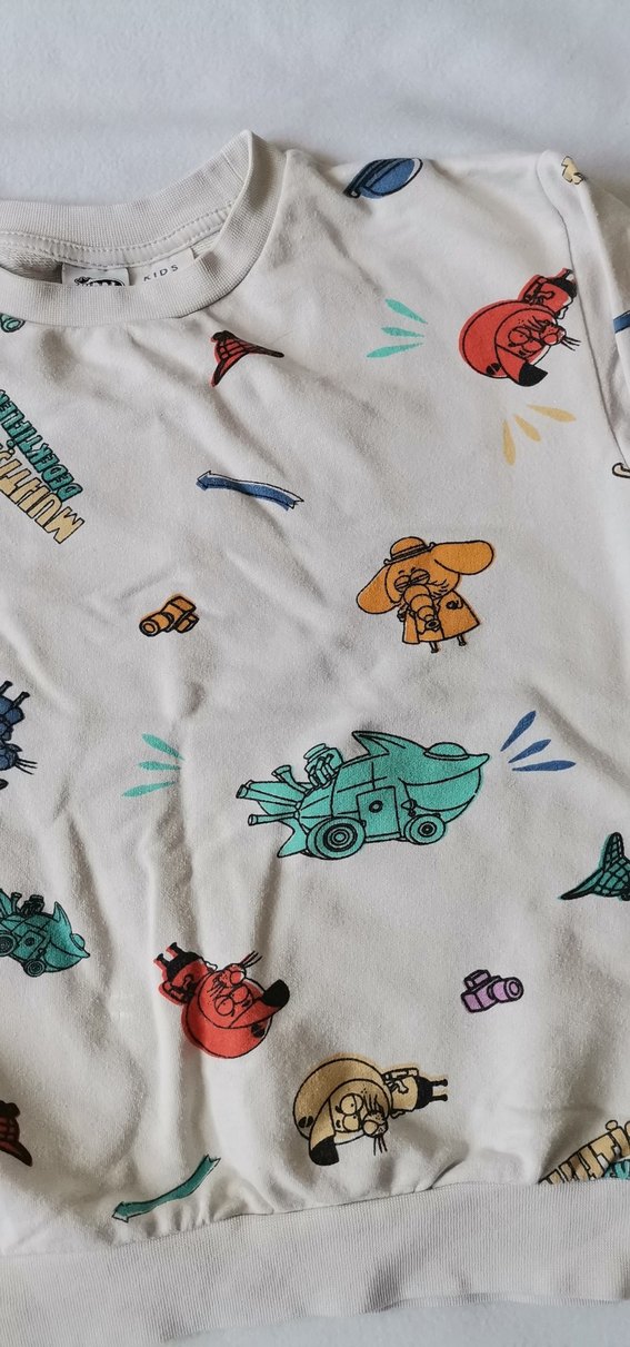 Erkek çocuk sveat - Görsel 3